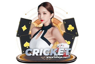 cricket casino