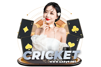 cricket casino live